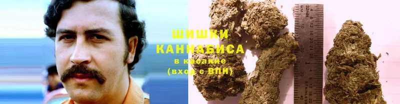 сколько стоит  Саранск  Шишки марихуана THC 21% 